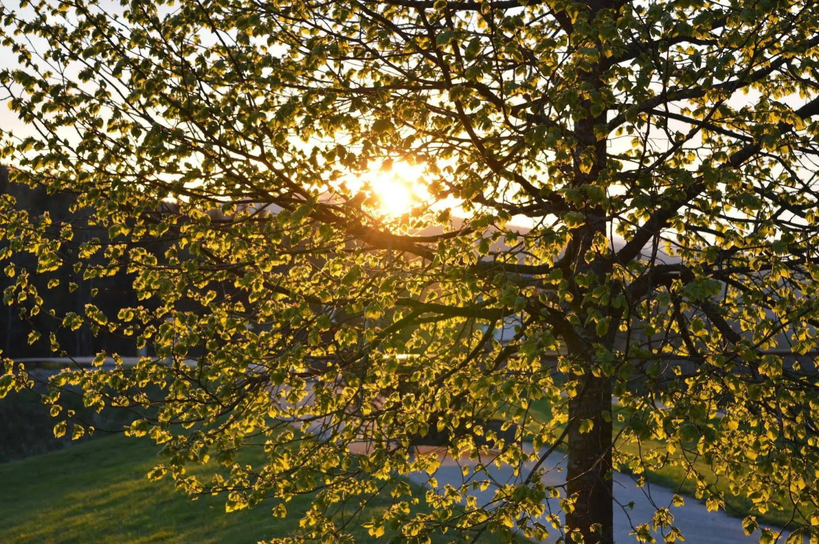 Wellness- und Vitalhotel Böhmhof