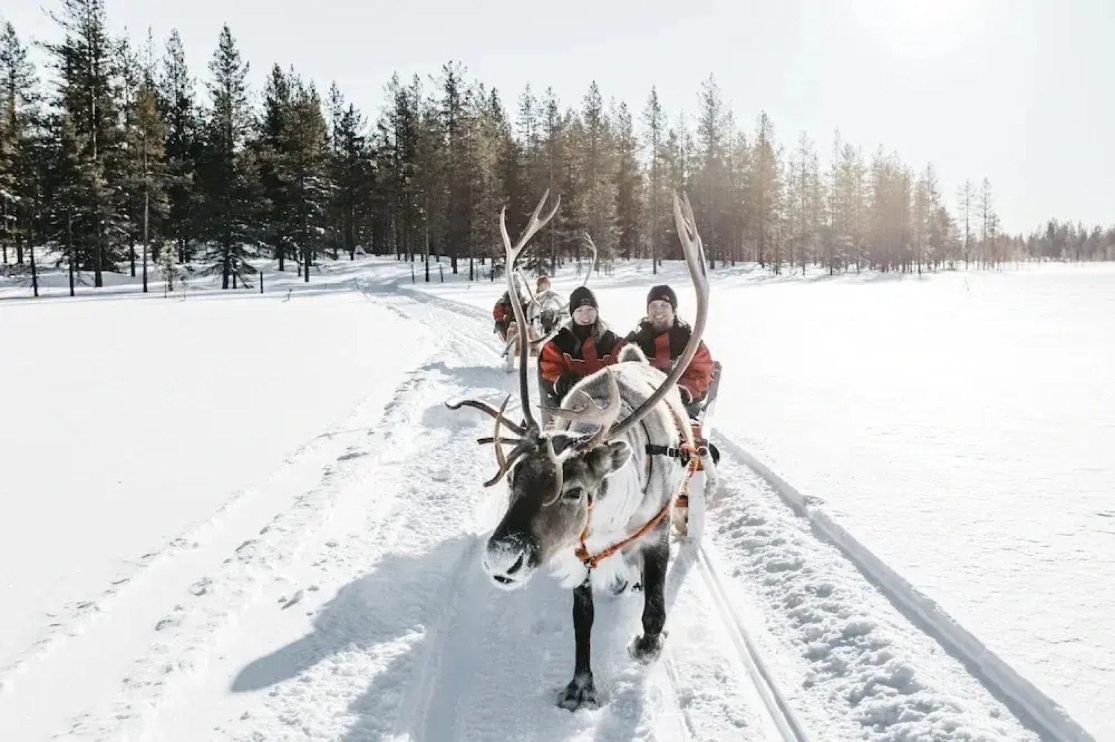 Scandic Hotel Luosto