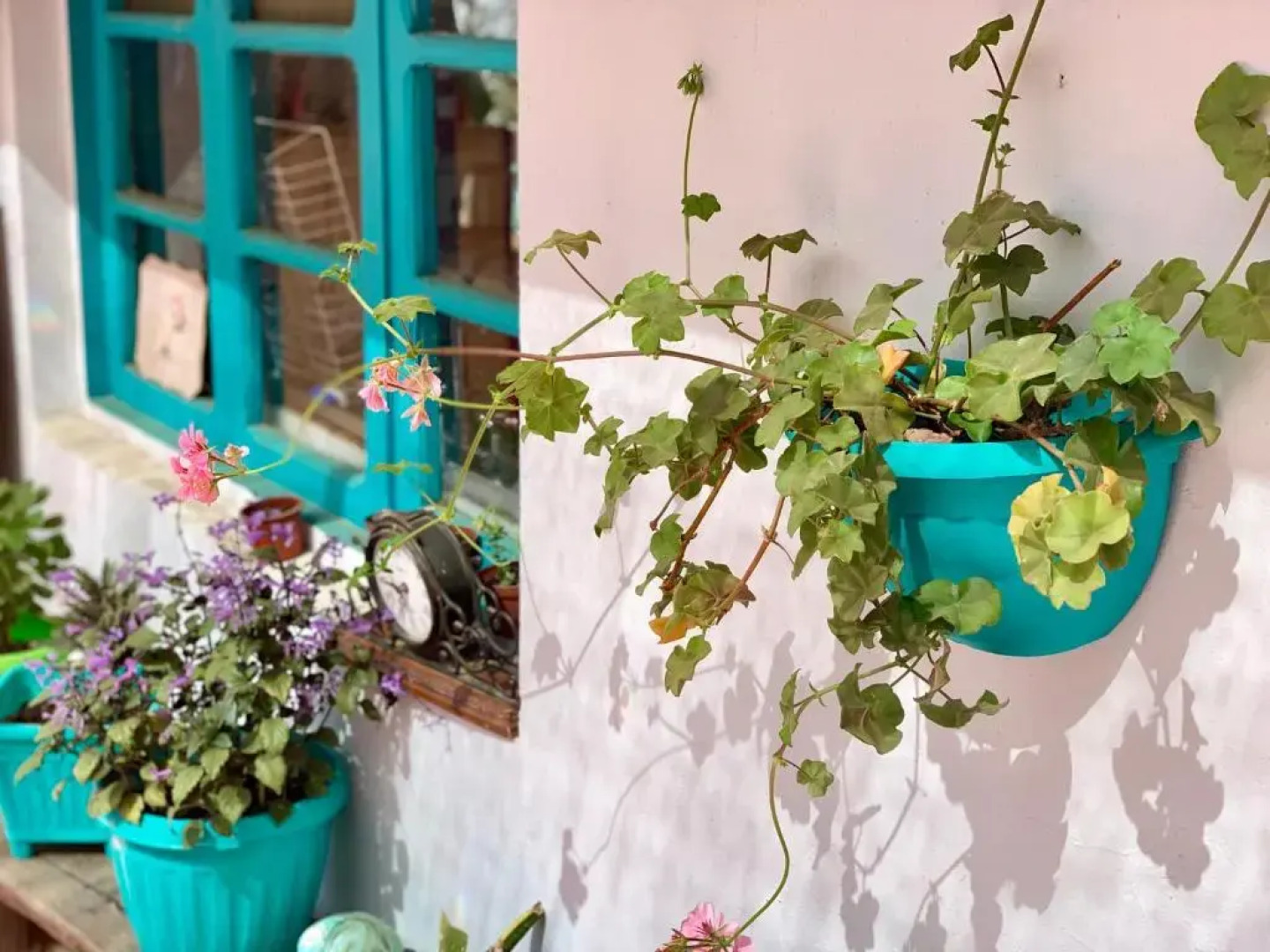 Hostal Dolegant Pichilemu