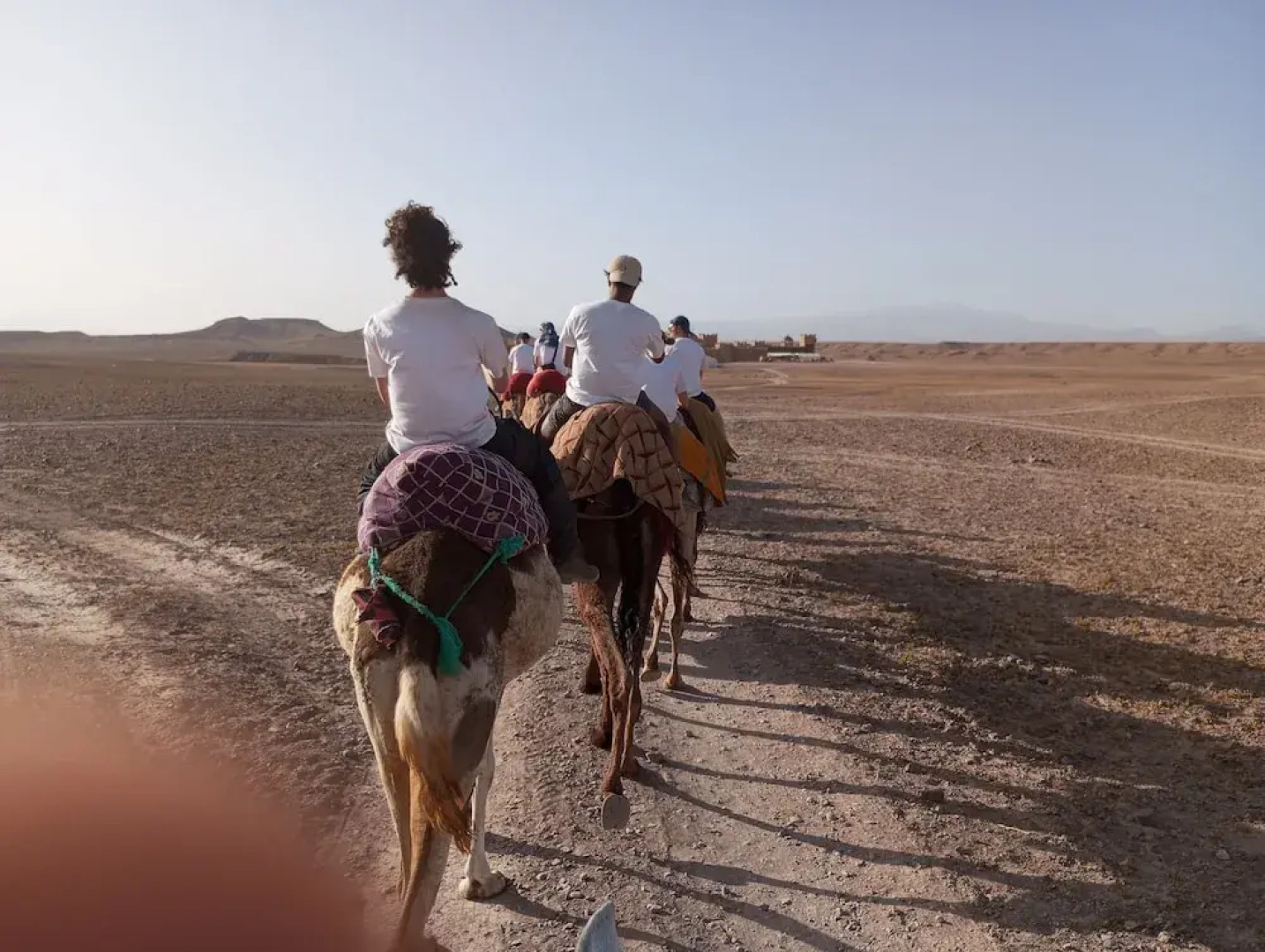 Tissili Auberge Restaurant Oasis de Fint