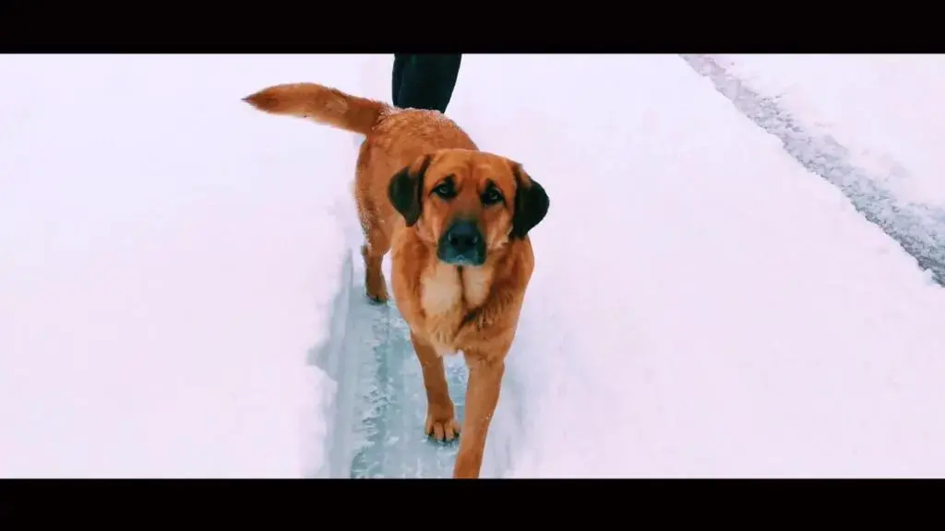 Resort No.21 of Fuxi-National Forest Park