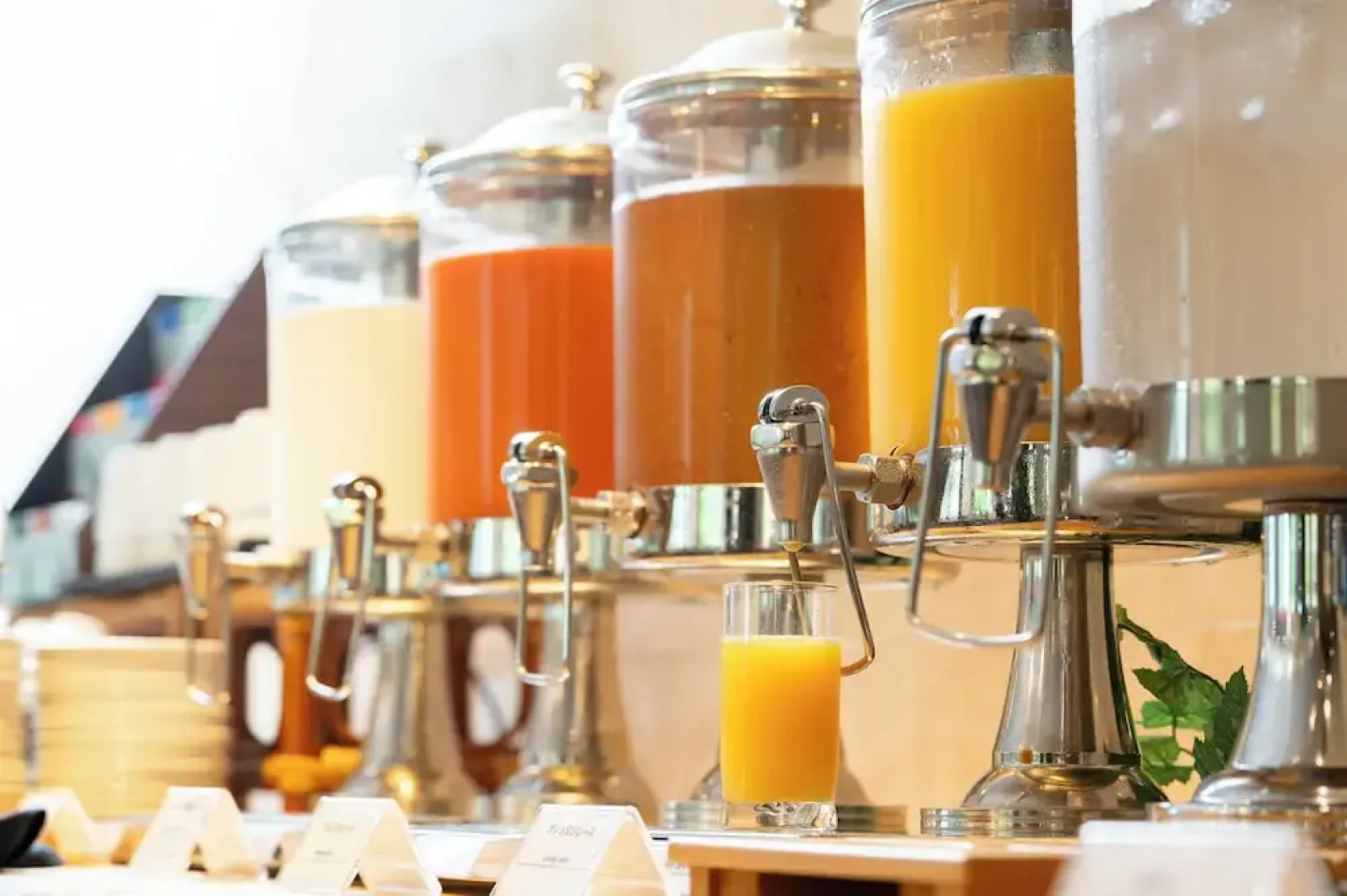 Sierra Resort Hotel Hakuba