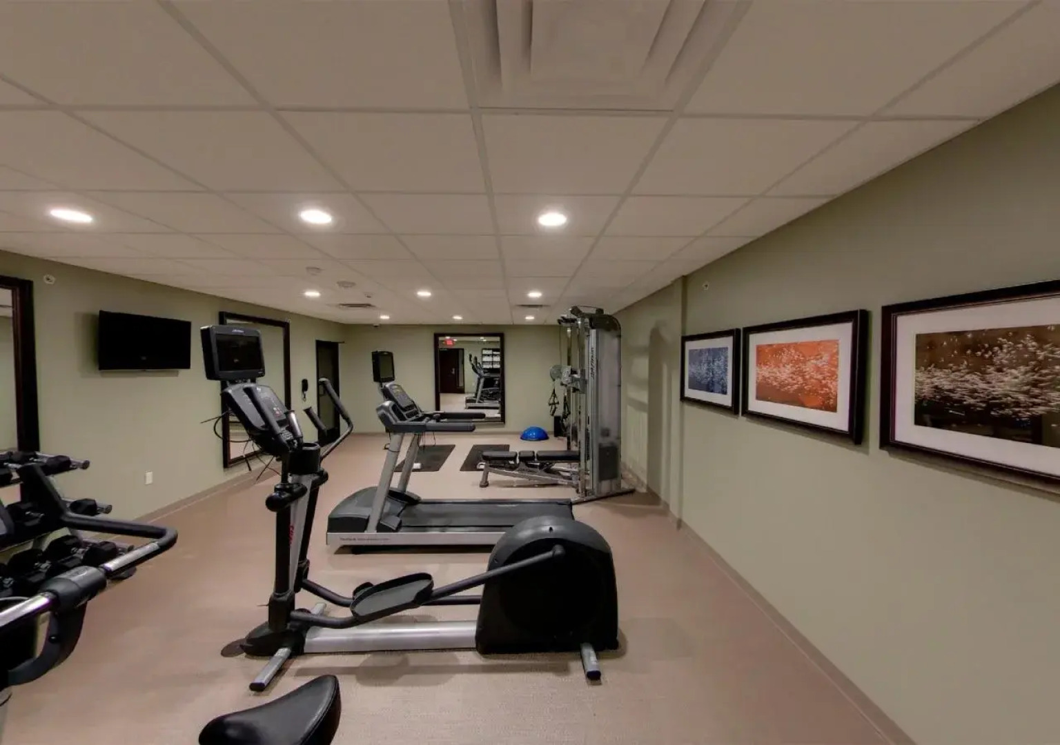 Staybridge Suites Ann Arbor- Univ of Michigan by IHG