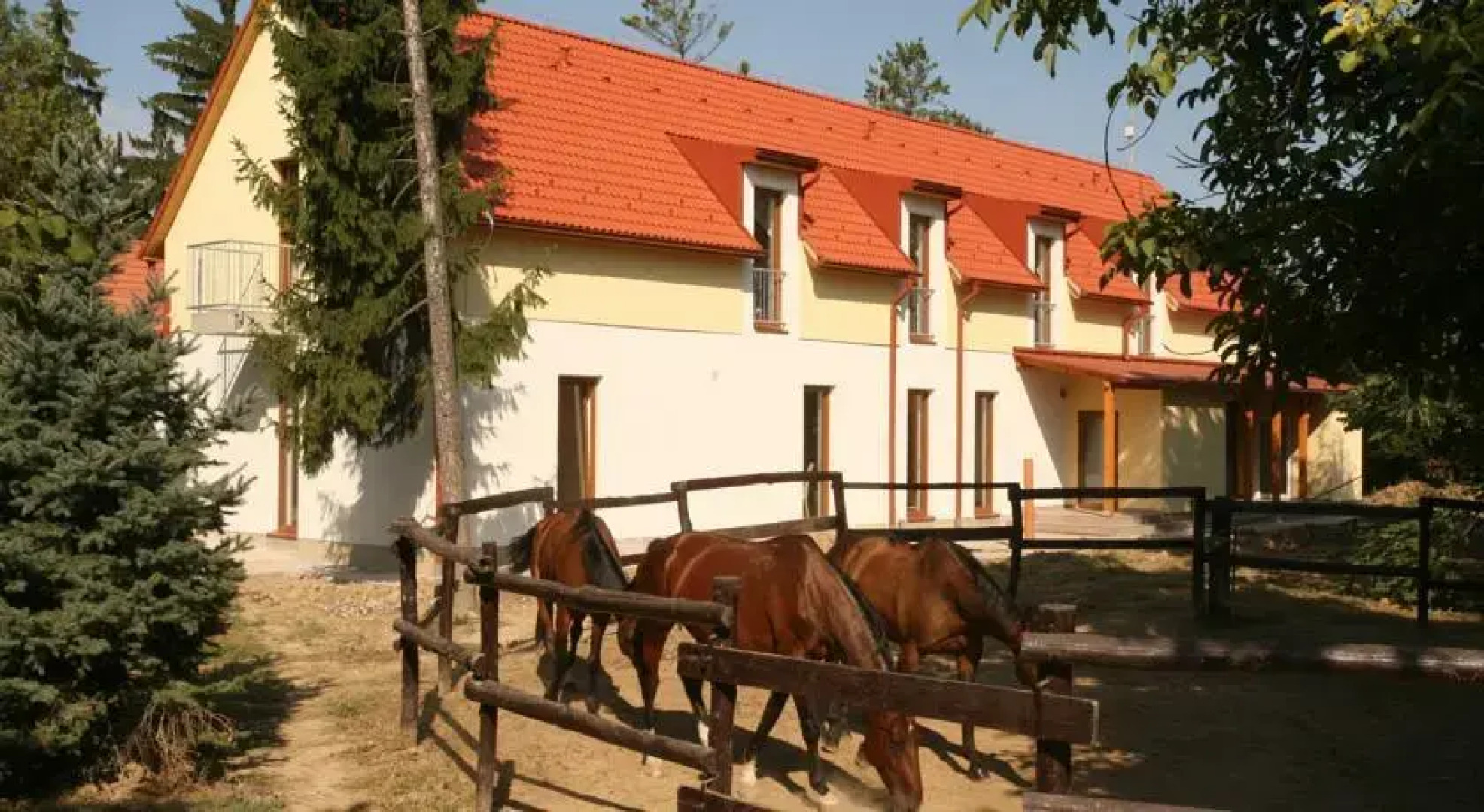 Bólyi Gyógylovas Vendégház