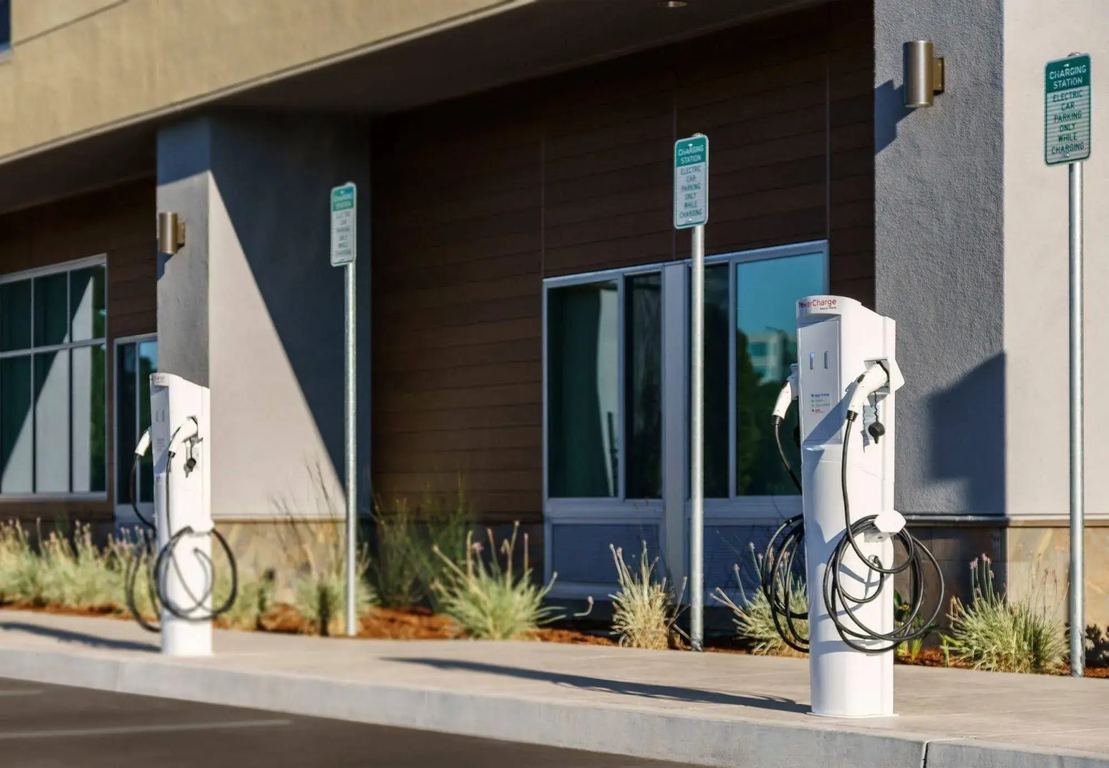 SpringHill Suites Belmont Redwood Shores