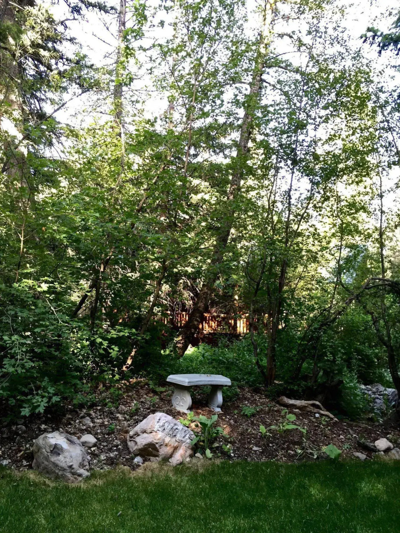 Treehouse by the Stream