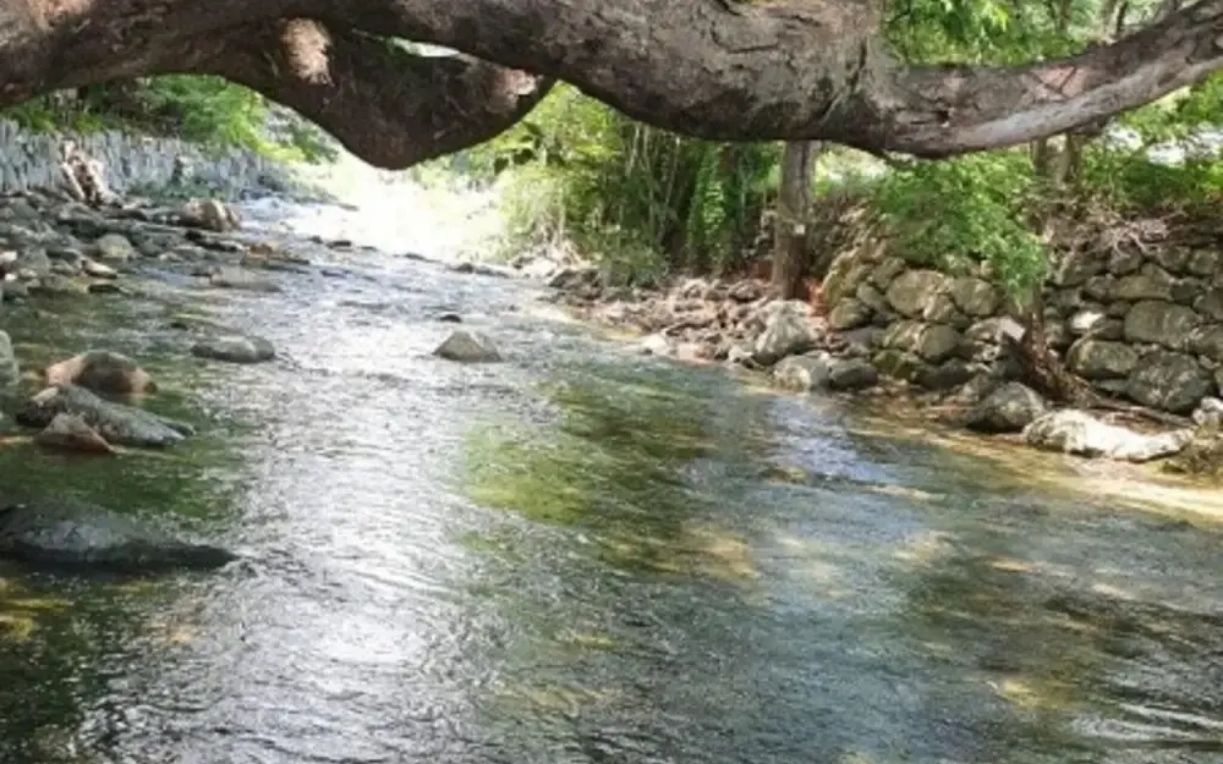 Yangpyeong Live Healing Pension