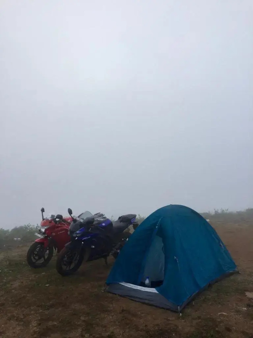 Cassells Jungle Resorts