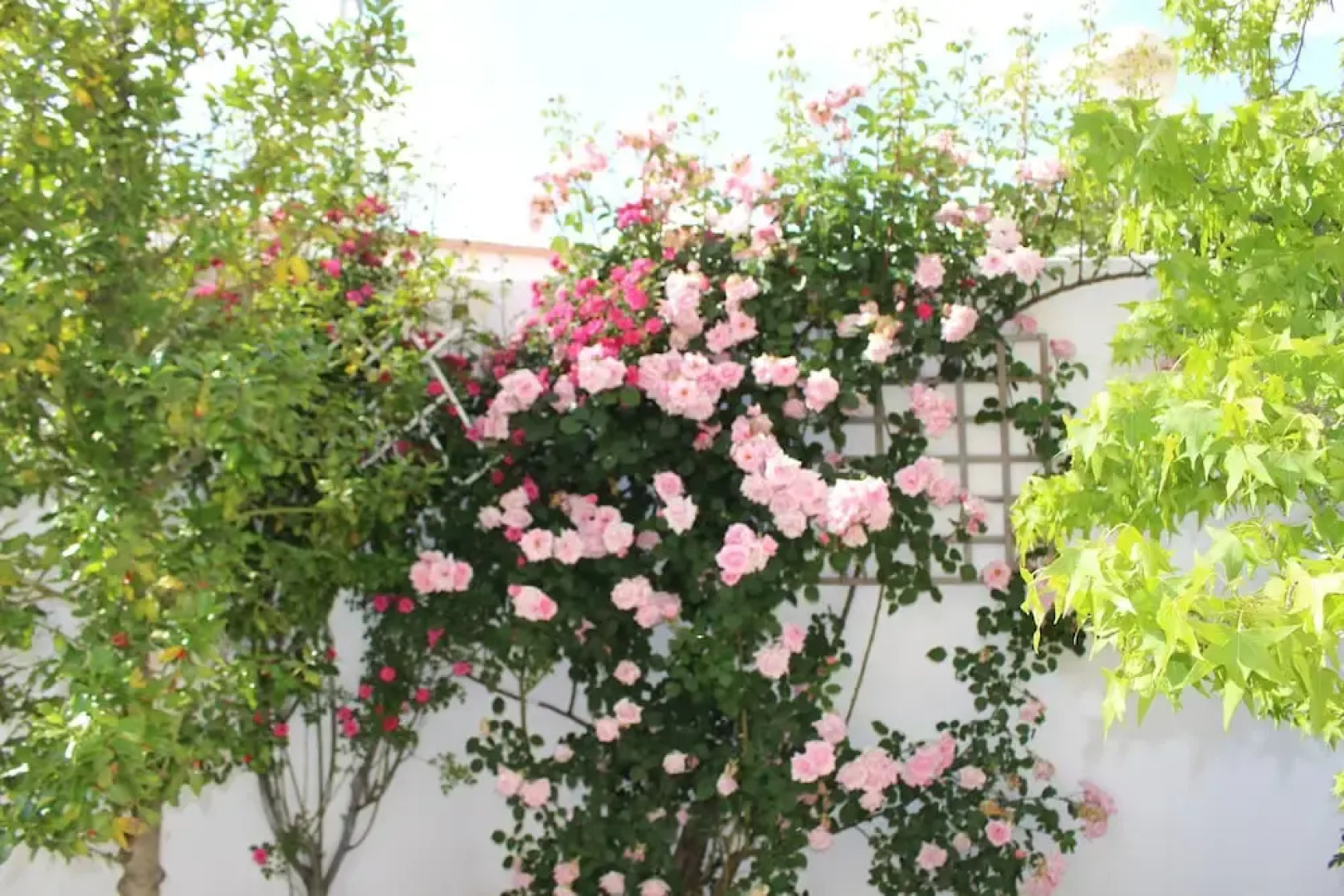 Villa Rural Campillo de Arenas