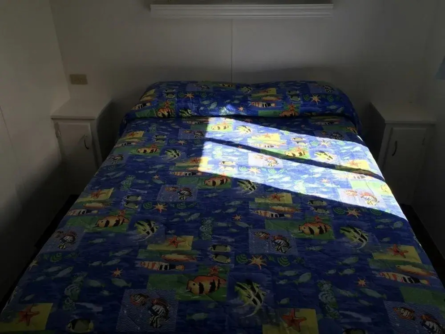 Reflections Tumut River