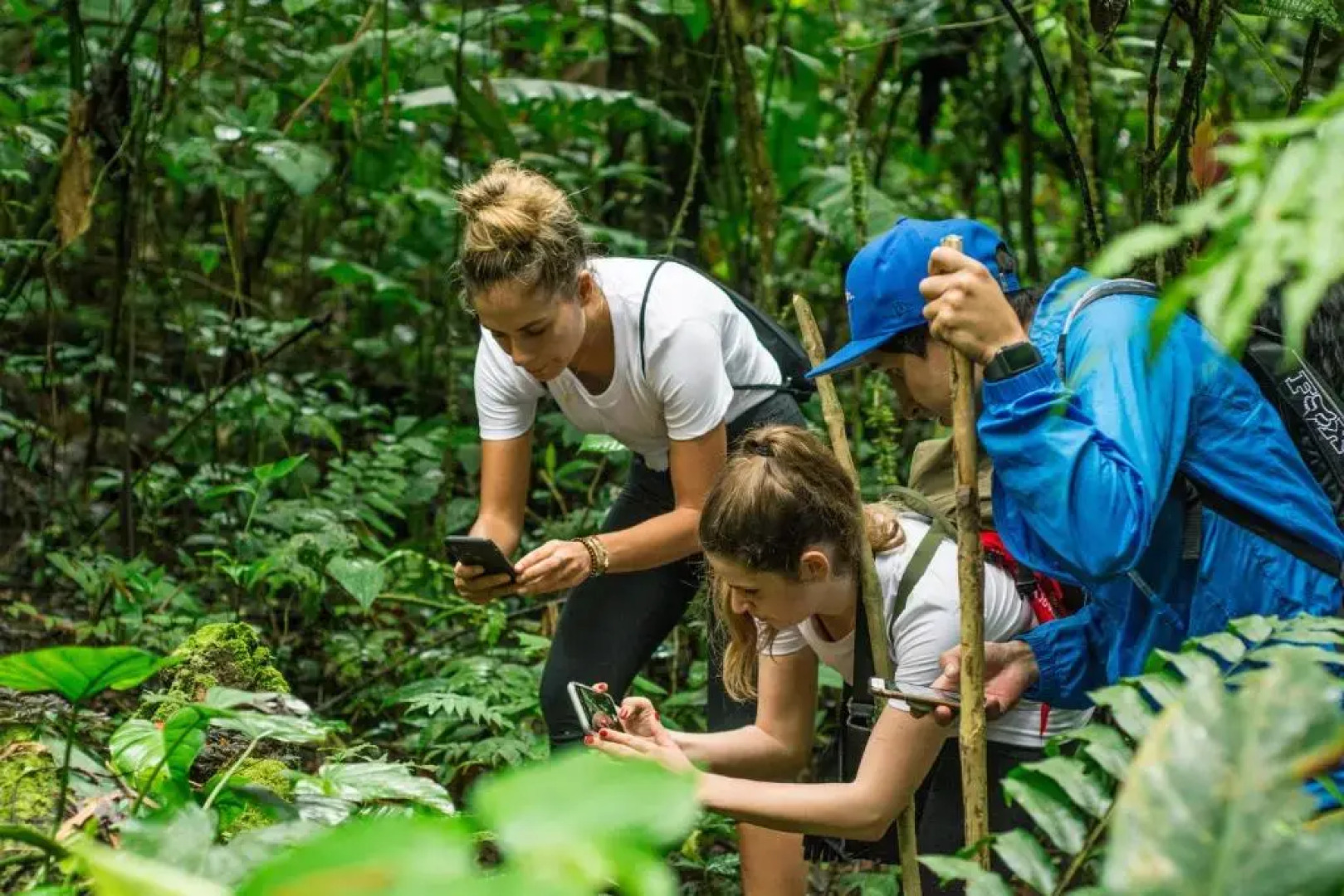 Socia/tel Amazon Tena