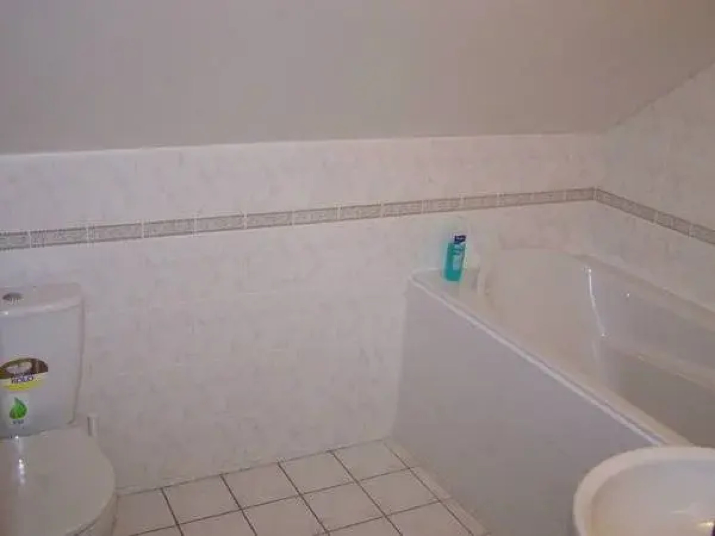 Restaurace a penzion U Lva