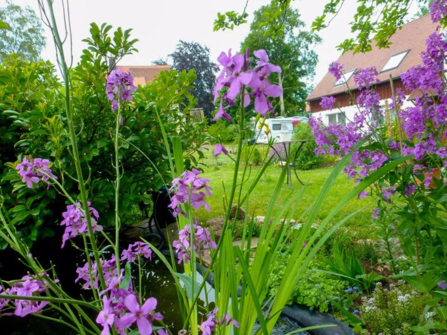 SCHMETTERLINGSGARTEN