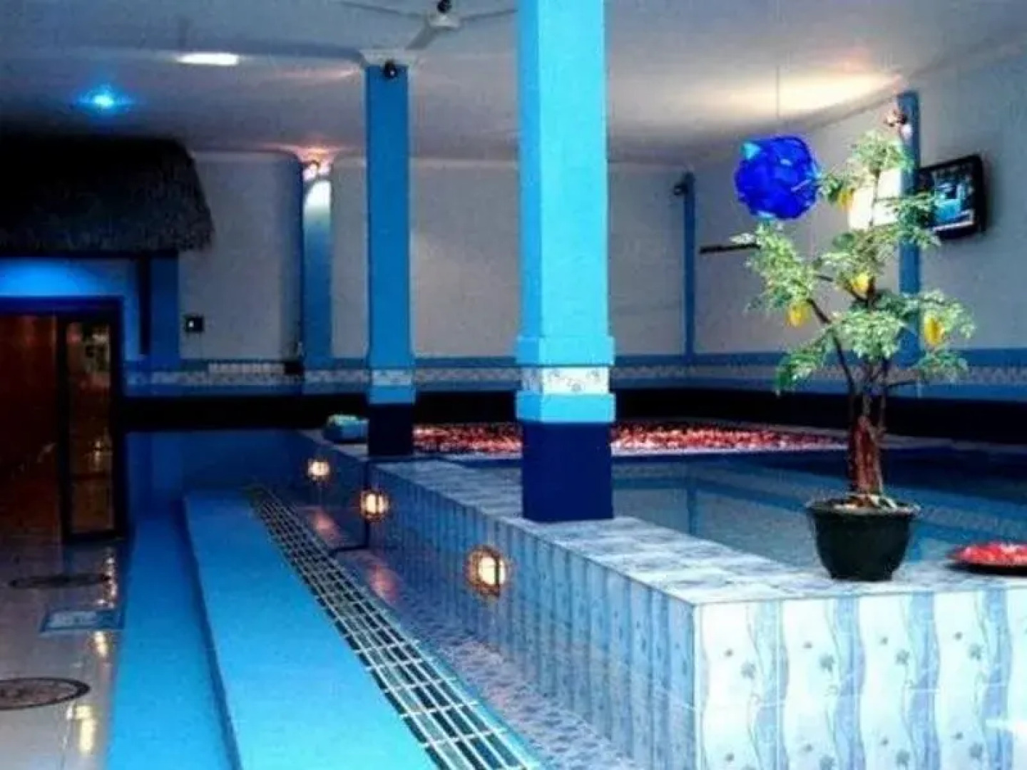 Cempaka Lovina Hotel