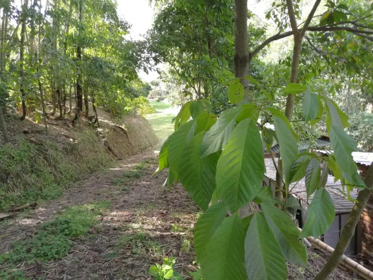 La Selecta Eco Hotel