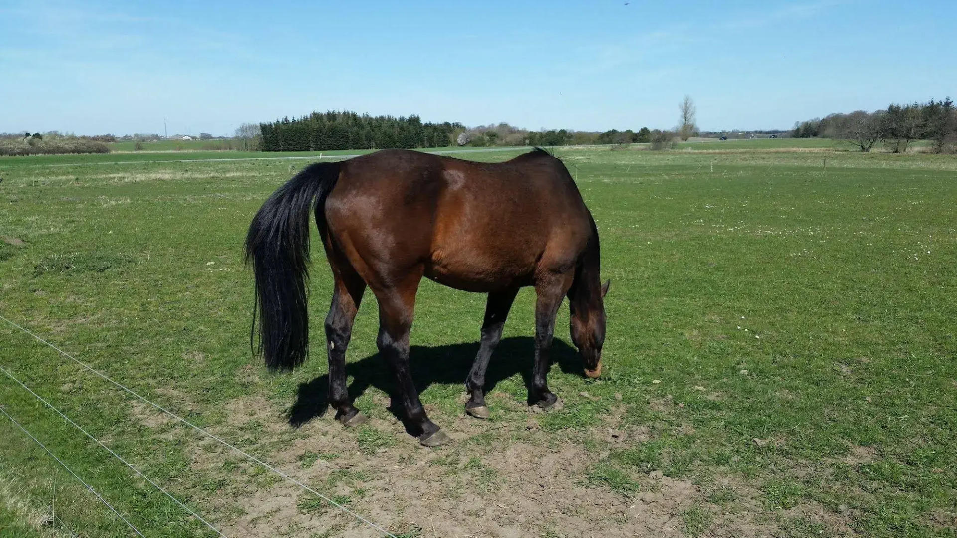 Tarskov Mølle - Anna's Bed & Breakfast & Holidayapartments