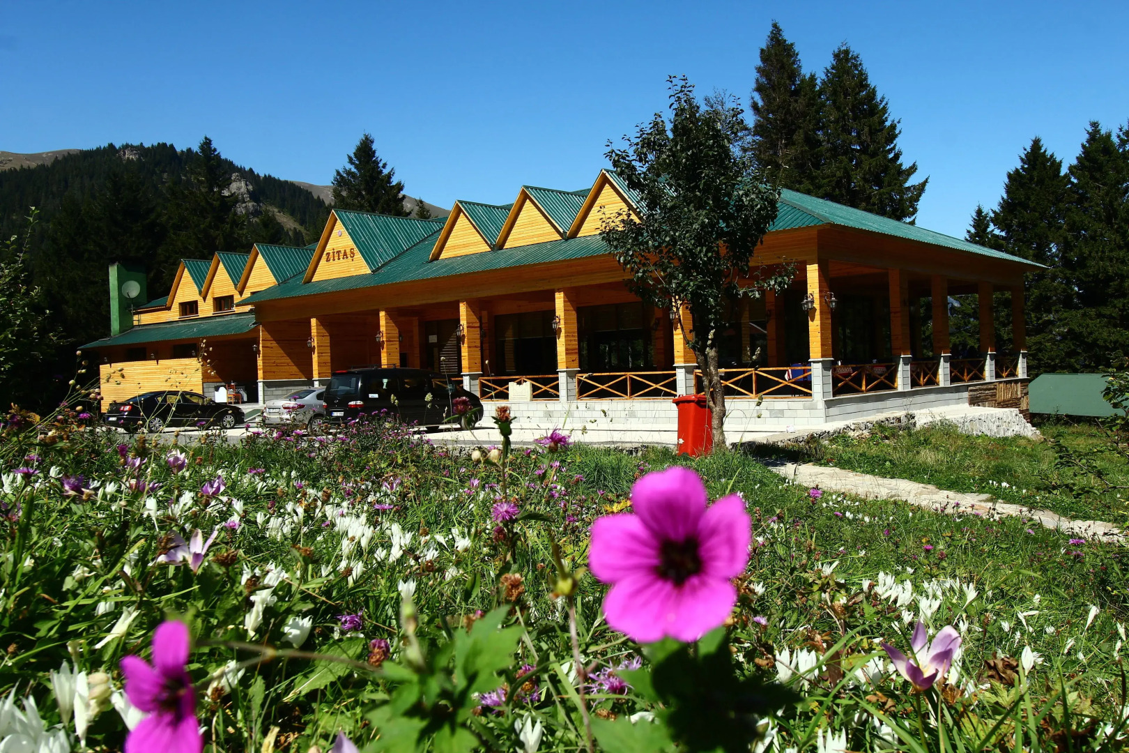 Hamsiköy Zitaş Bungalov & Restoran