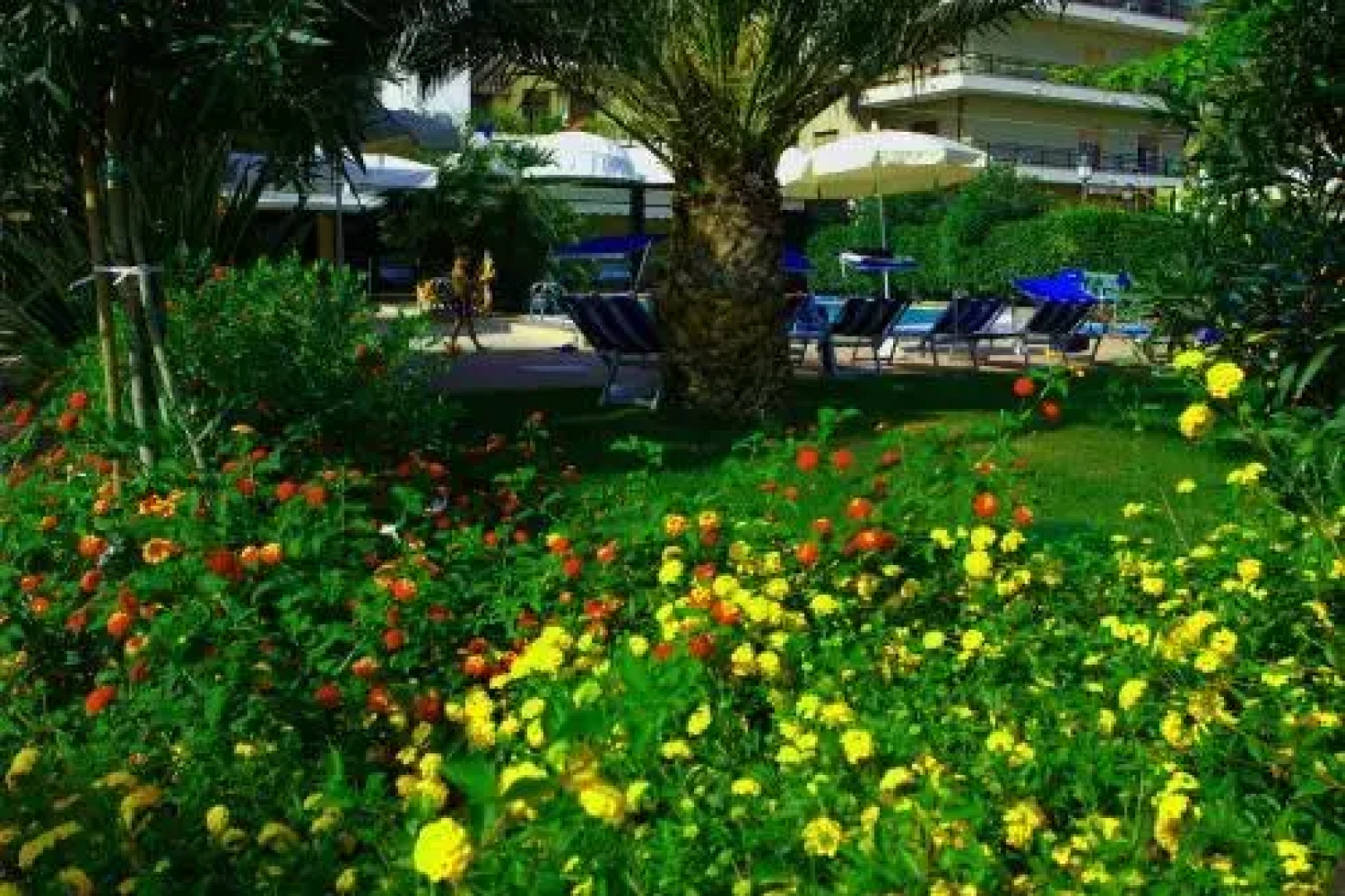 Hotel Miramare Silvi