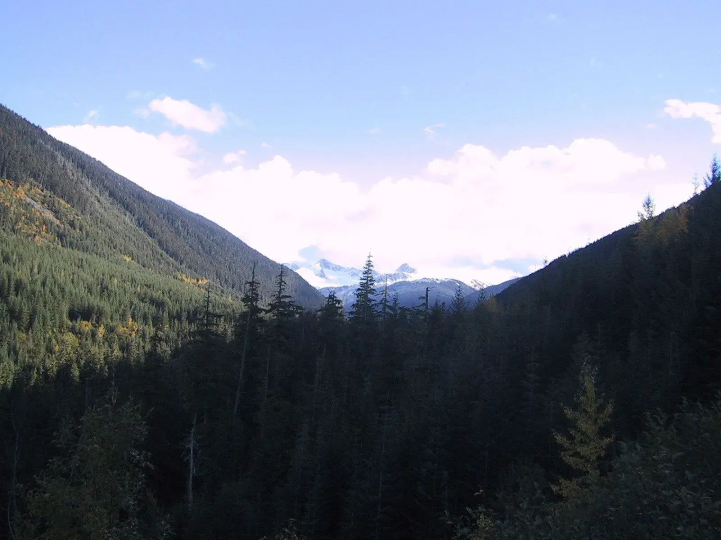 Whistler Alpine Chalet Retreat & Wellness