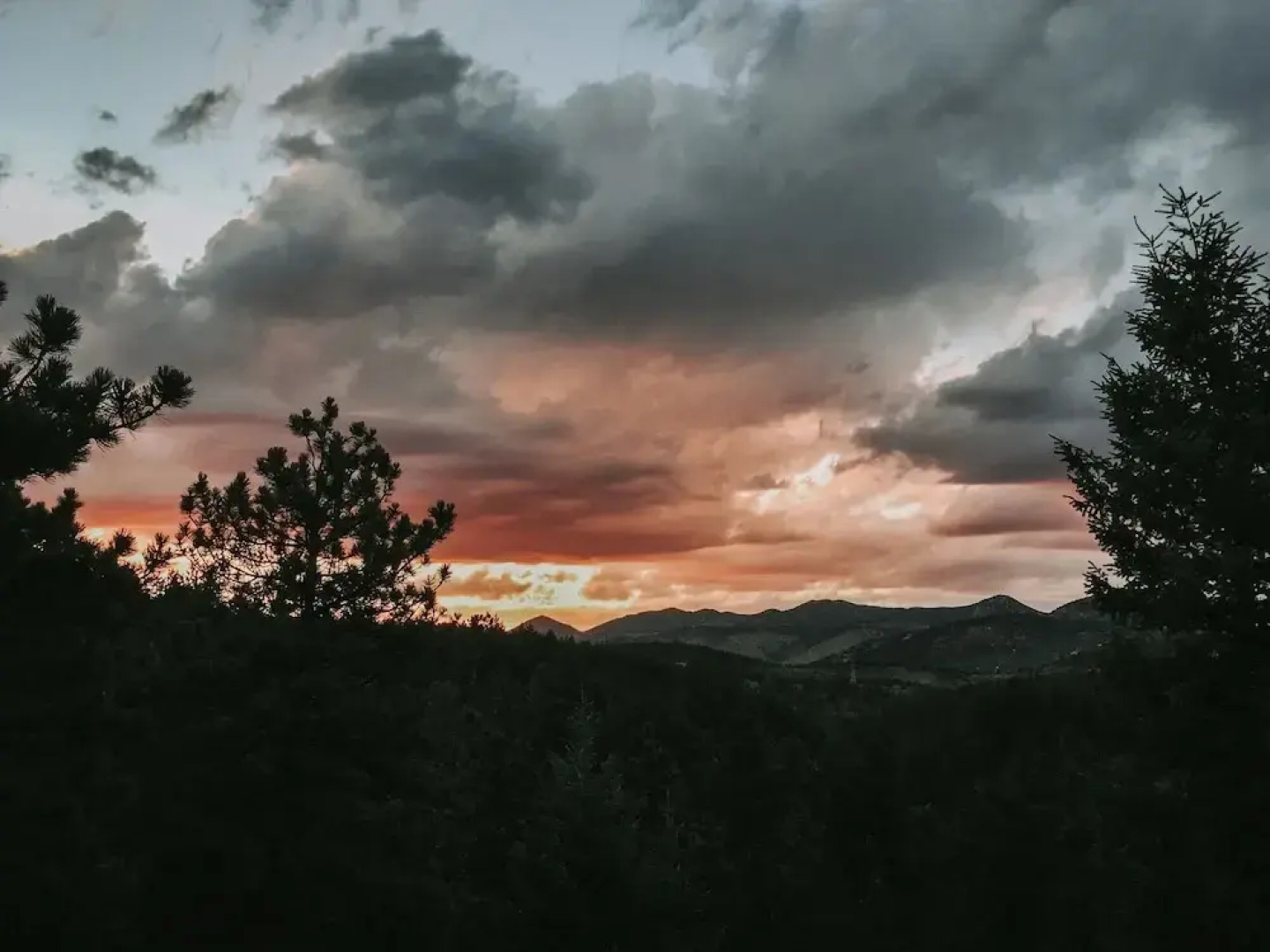 Mountain Bounty Bed and Breakfast