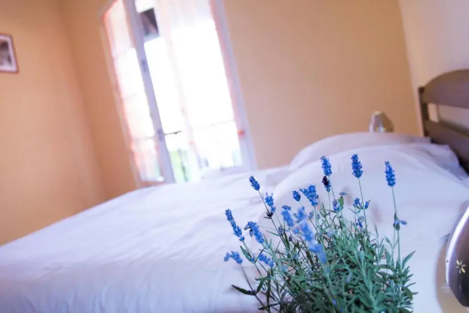 Ferme Typique Alsacienne