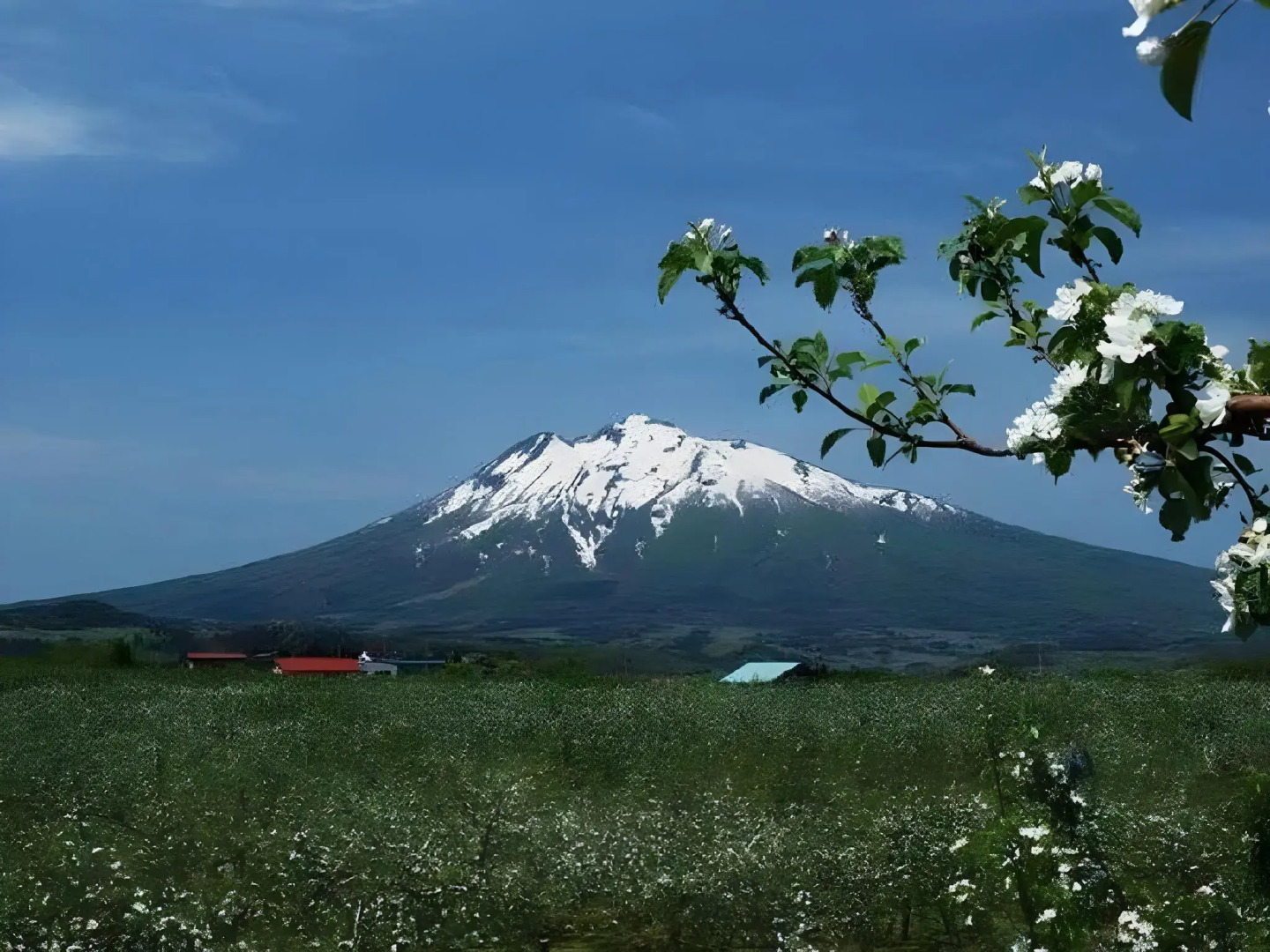 Art Hotel Hirosaki City