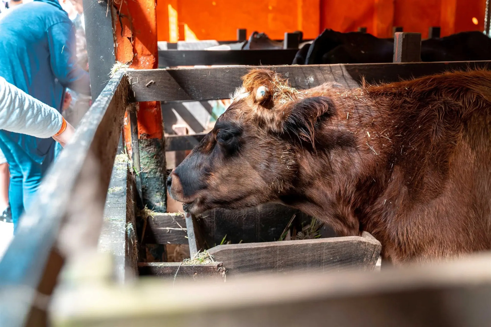 Hotel Fazenda Santa Barbara
