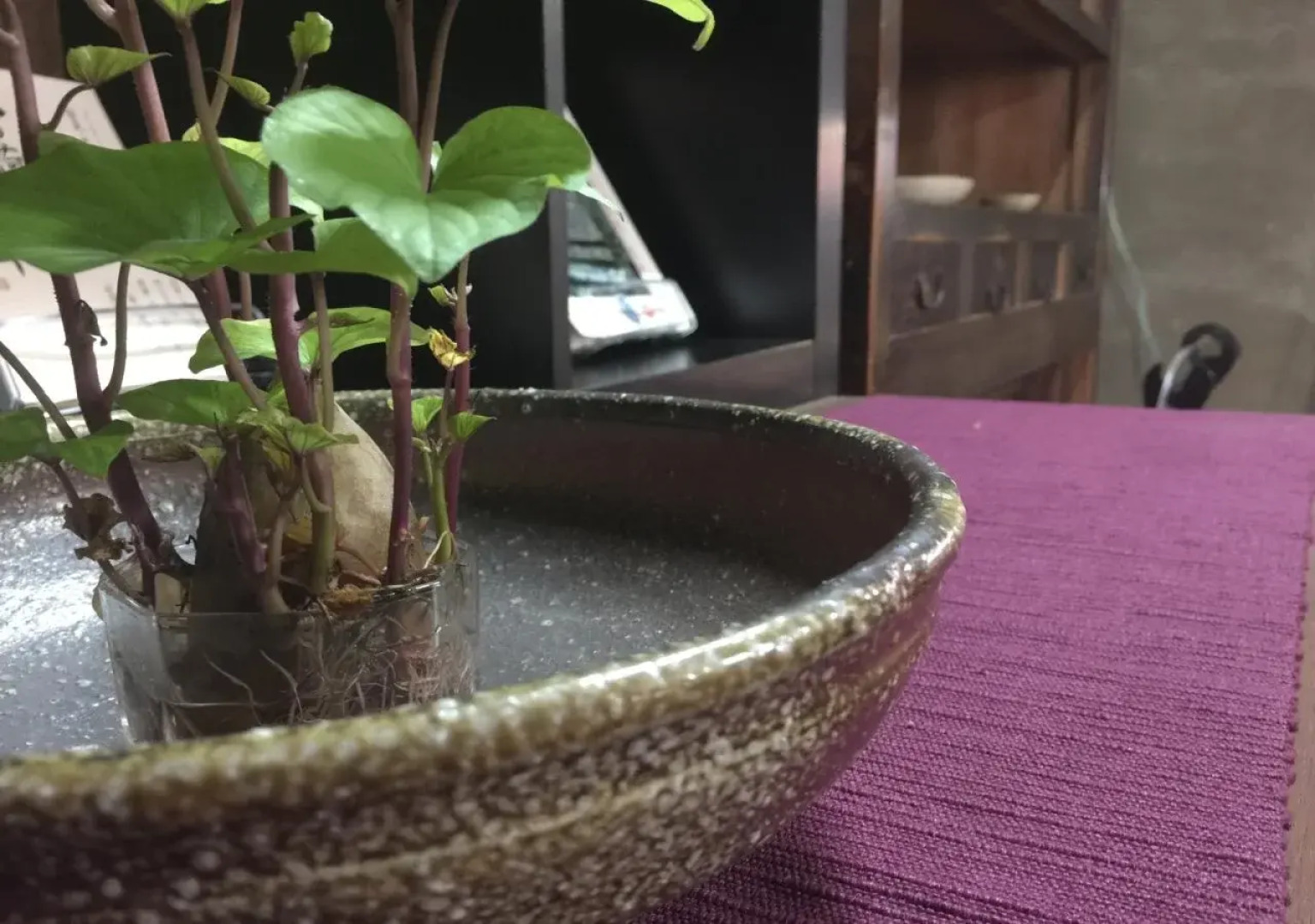 Wakayama Guest House Shido