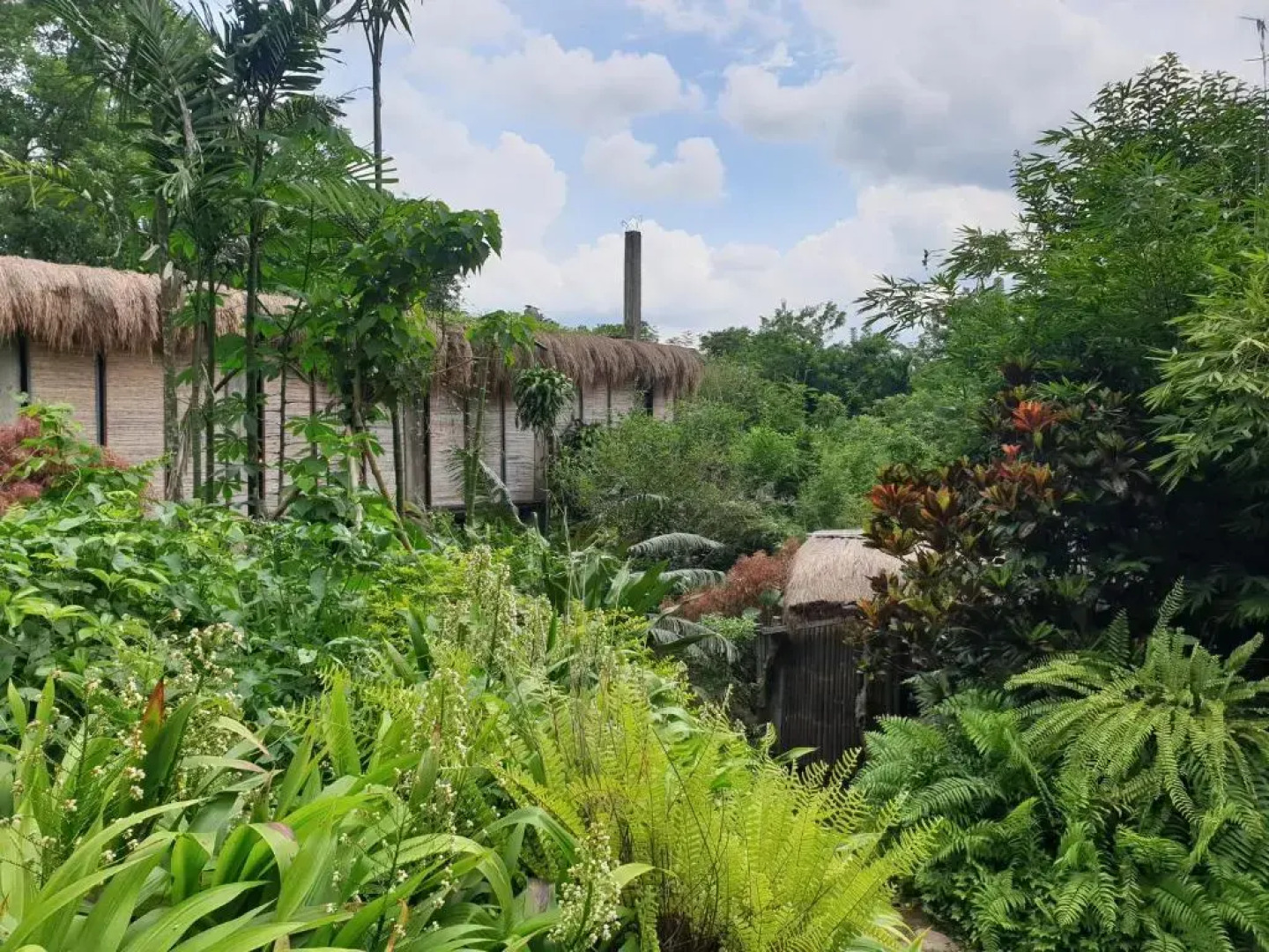 Maka-Kalinaw 5 Wabi sabi Room, Forest Deck View