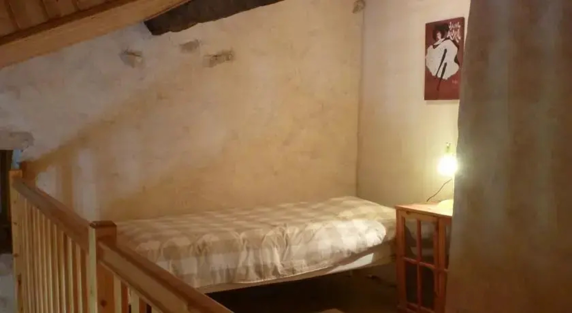 Le Fuligule Morillon