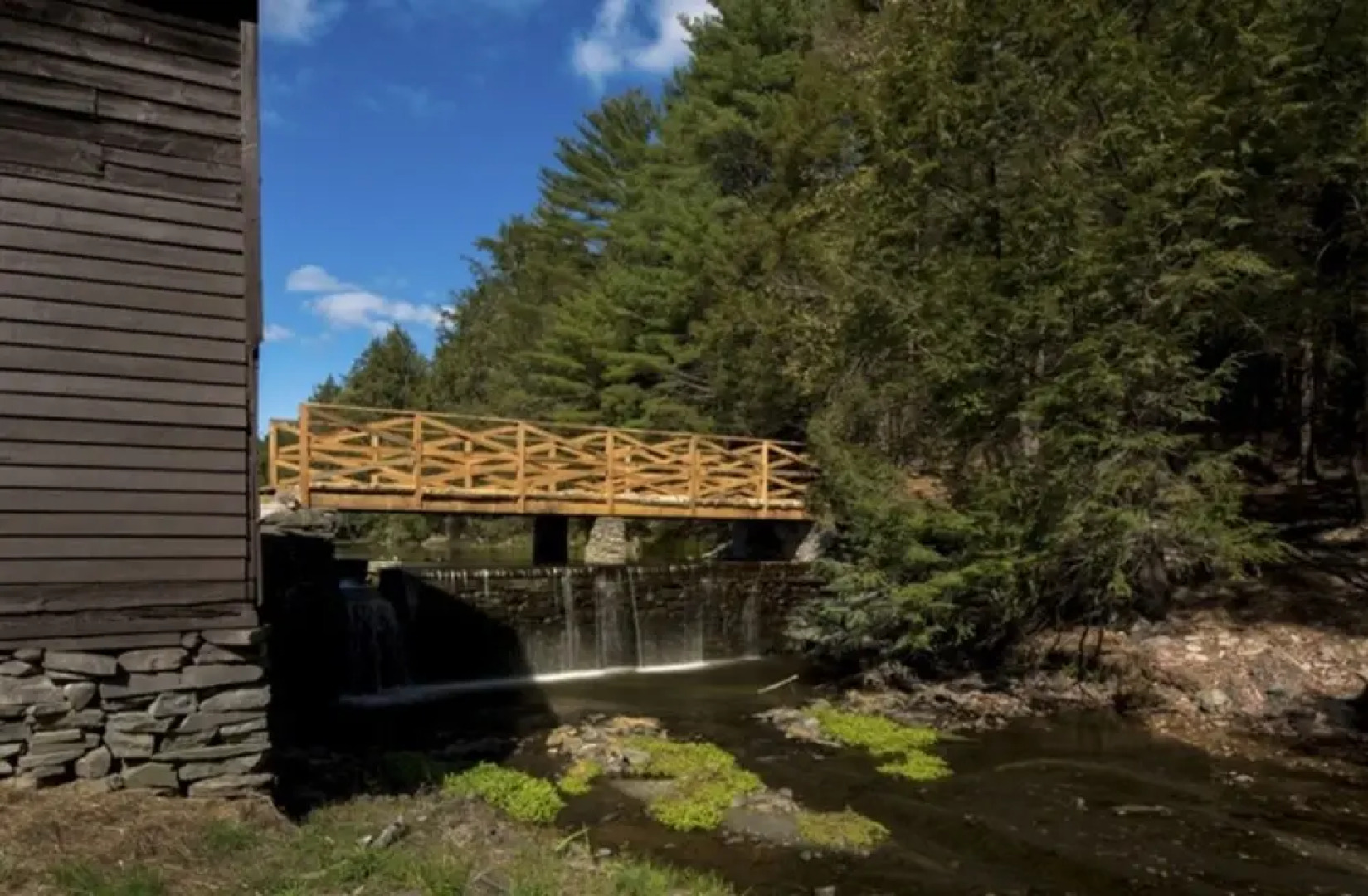 The Cottage in the Pines