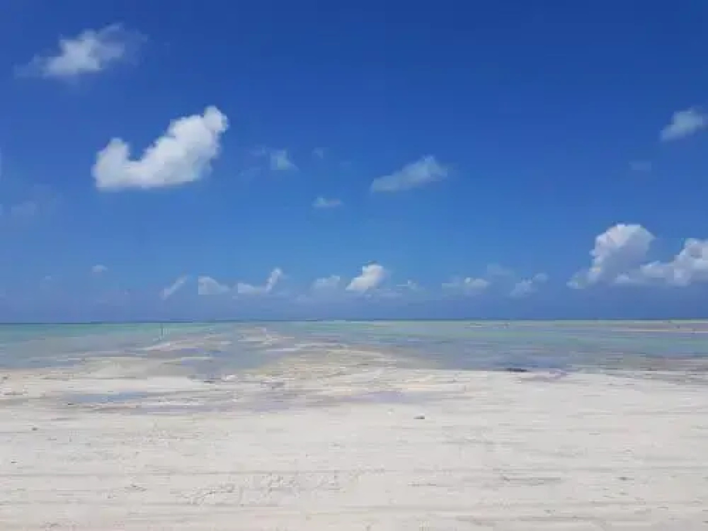 Bicho Caramelo Hostel & Bar