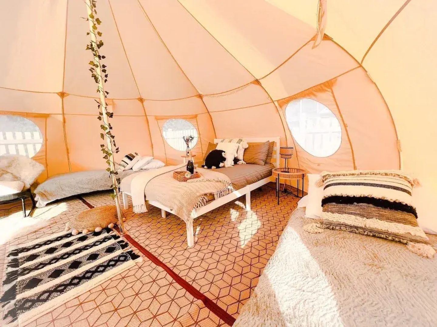 Erw Glas Glamping and Camping
