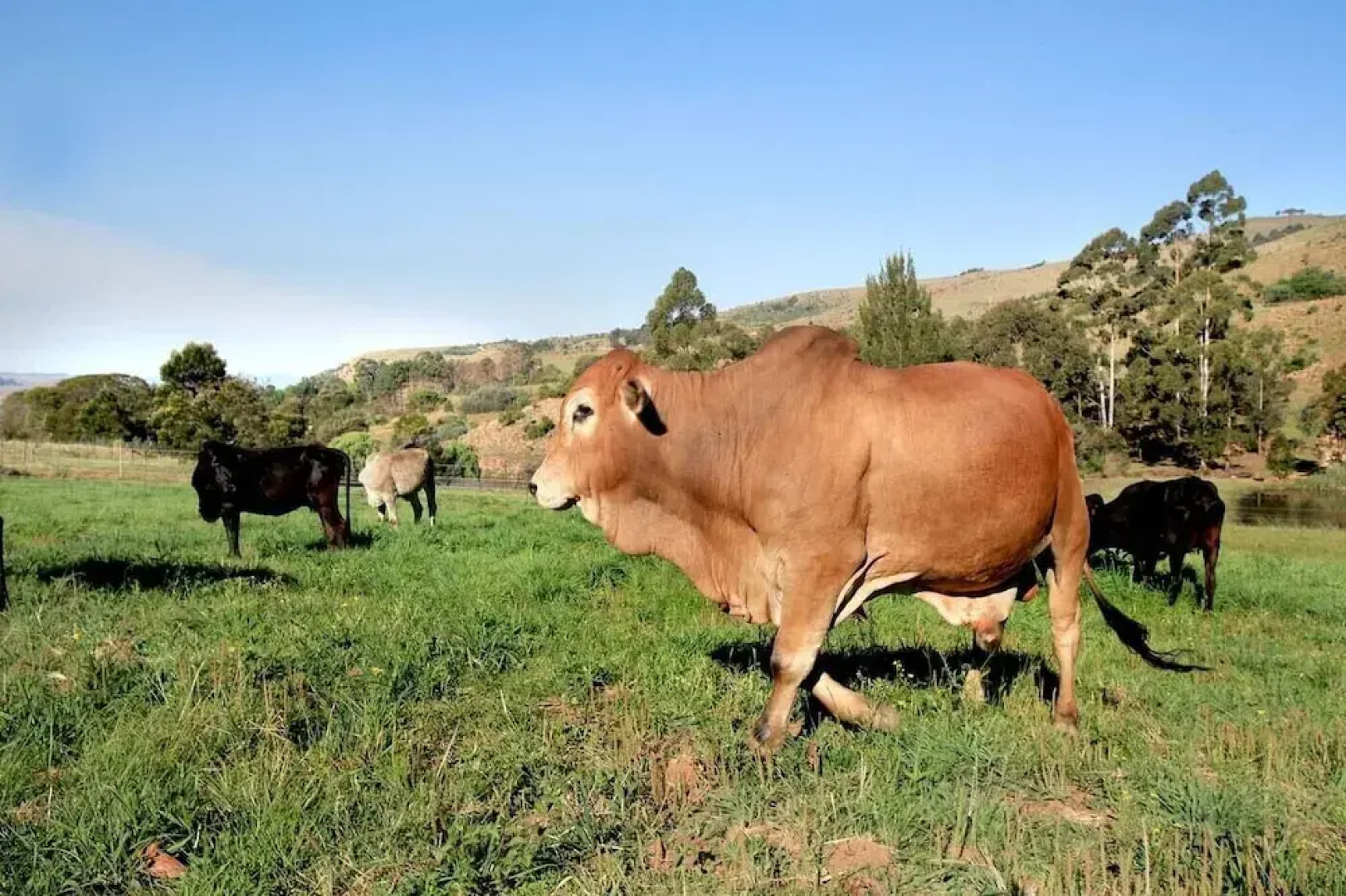 Troutways Private Retreat