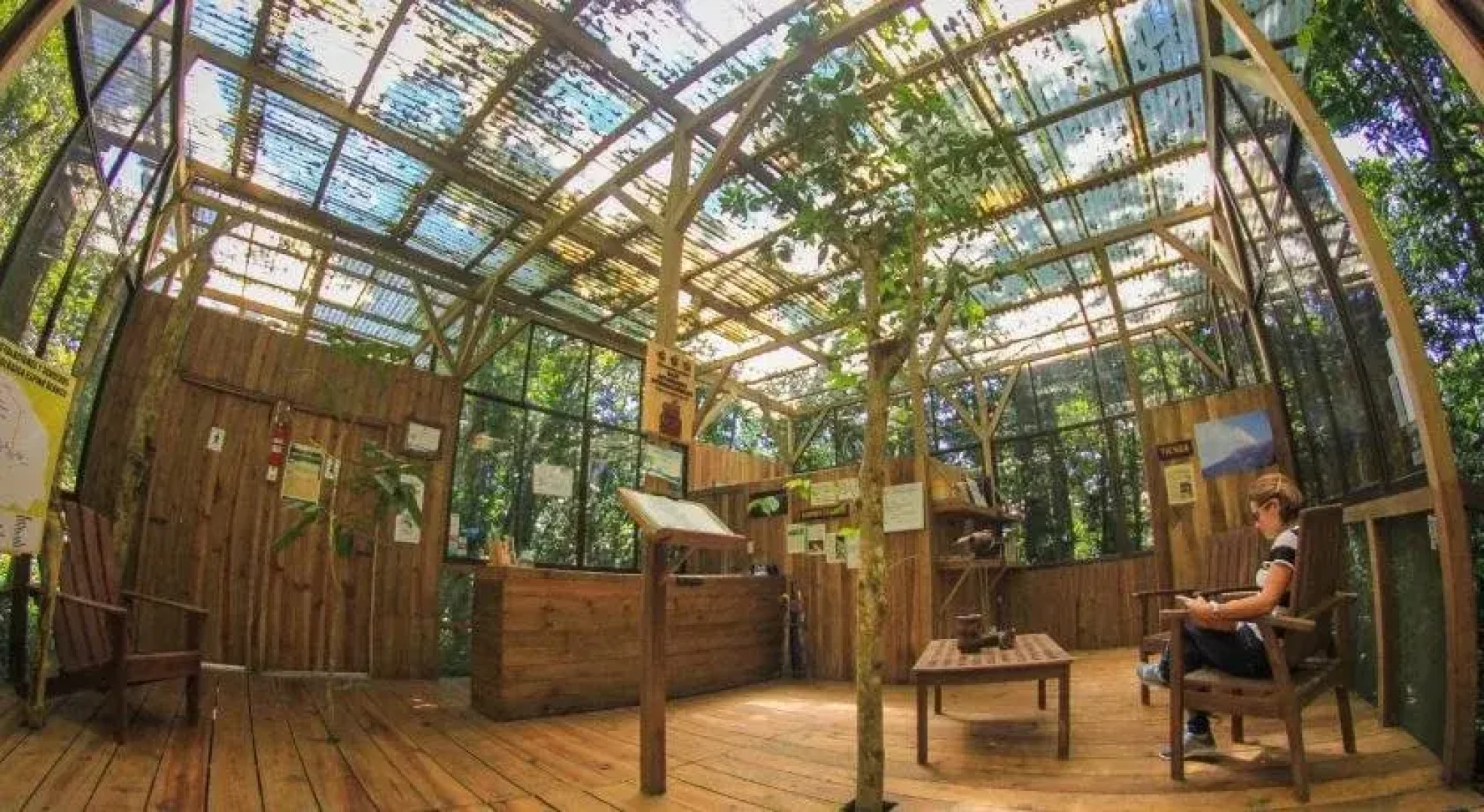 Wagelia Espino Blanco Lodge