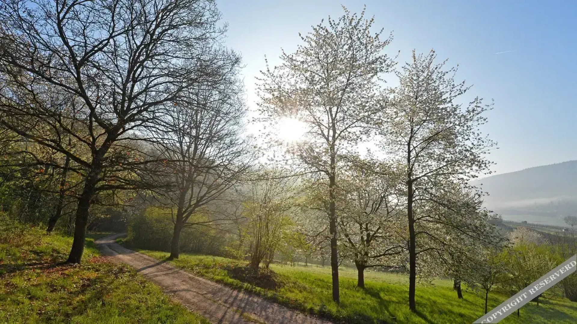 Hotel Weinhaus Stern