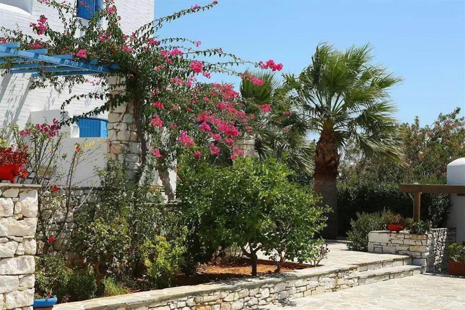 Drios Paros Luxury Hotel