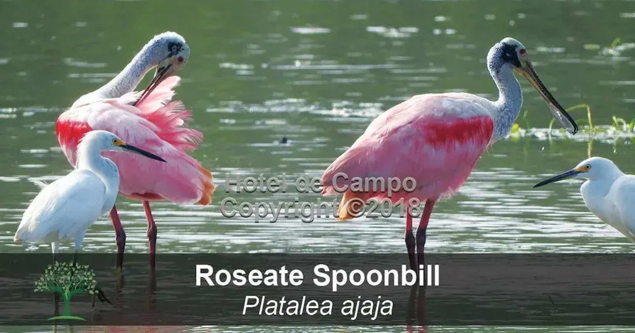 Hotel de Campo Caño Negro