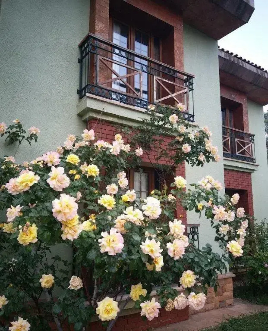 Pendosis Vacation Village