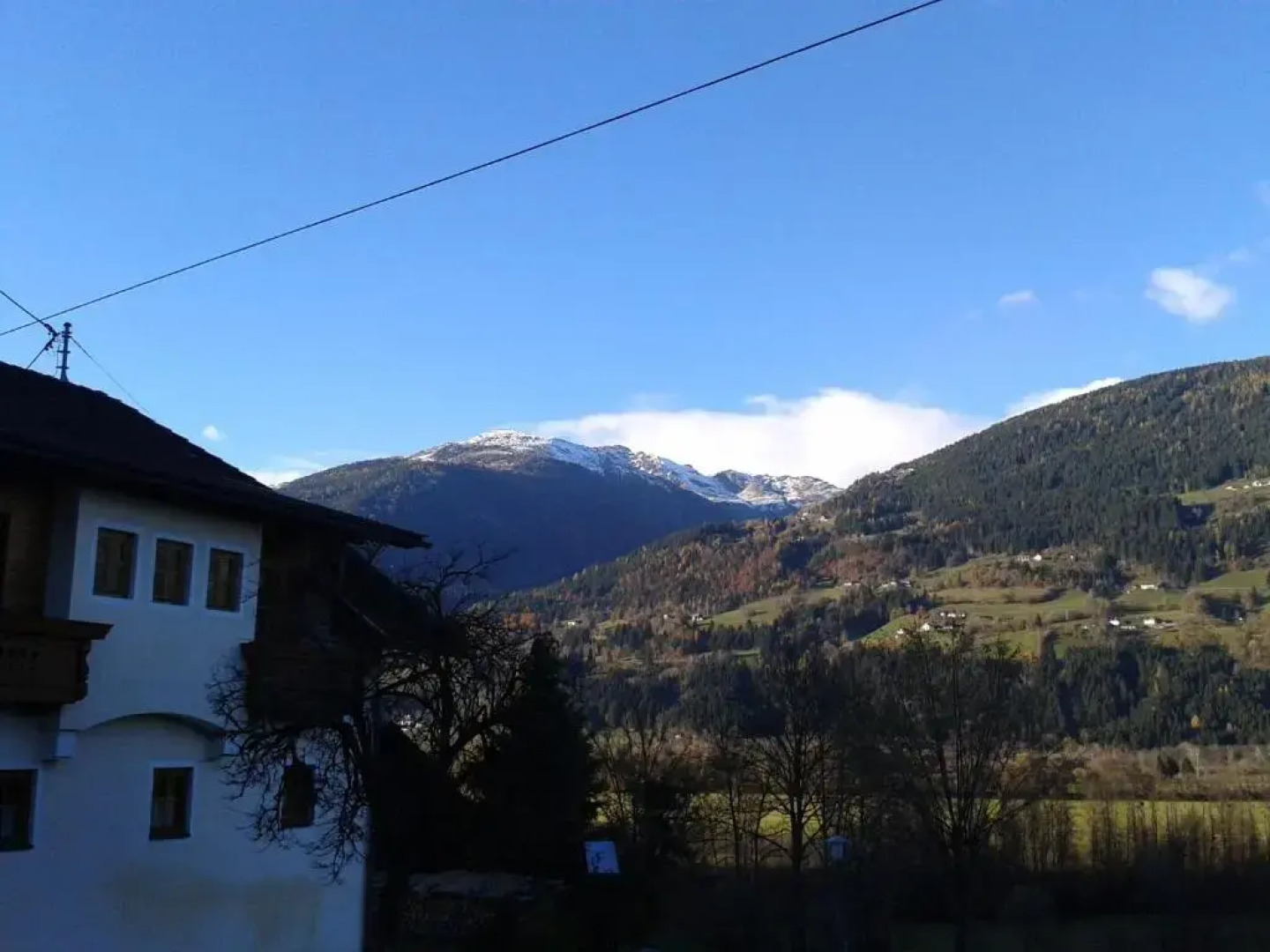 Frühstückspension Zippo