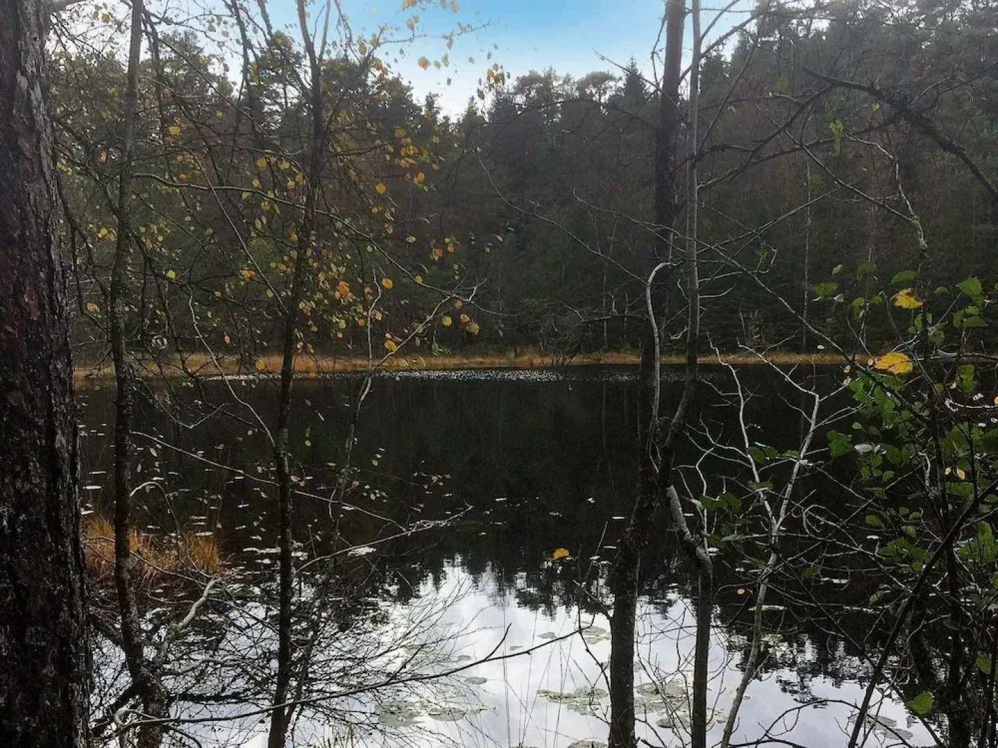 5 Person Holiday Home in