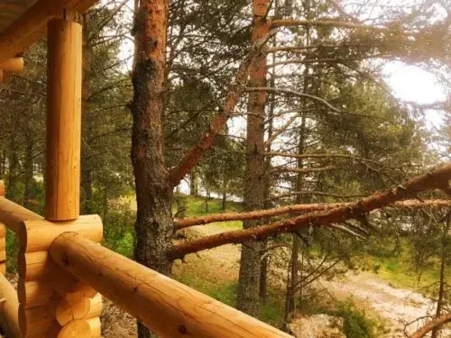 Guest House - Belye Nochi