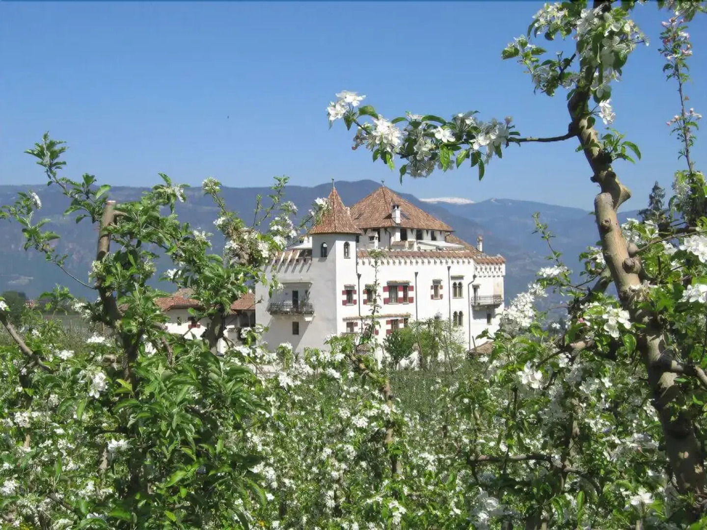 Apartment Schloss Paschbach