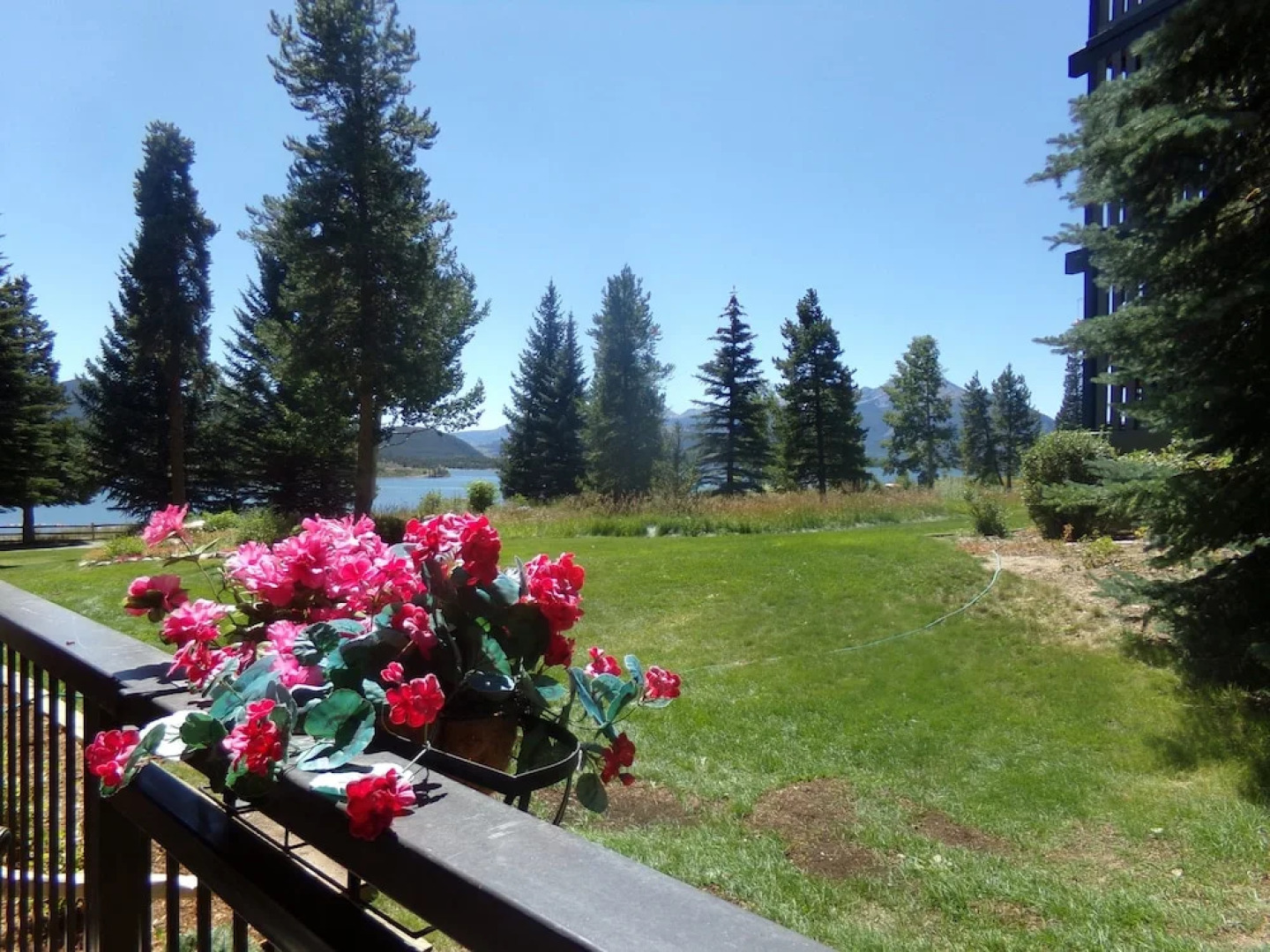 Lake Cliffe 1 Bed 1 Bath Views