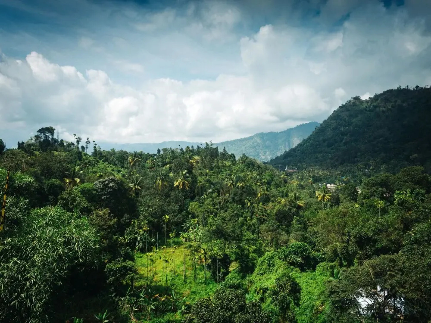 OYO 9678 Hotel Misty Garden