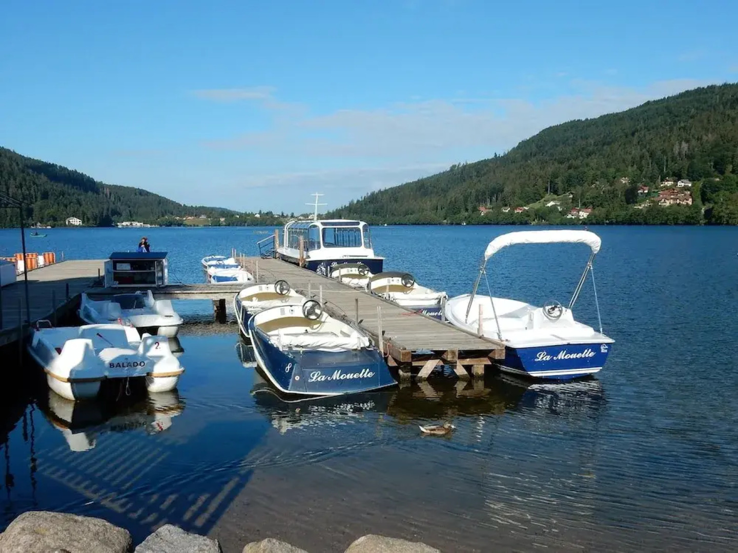 Quaint Chalet in La Bresse with Garden