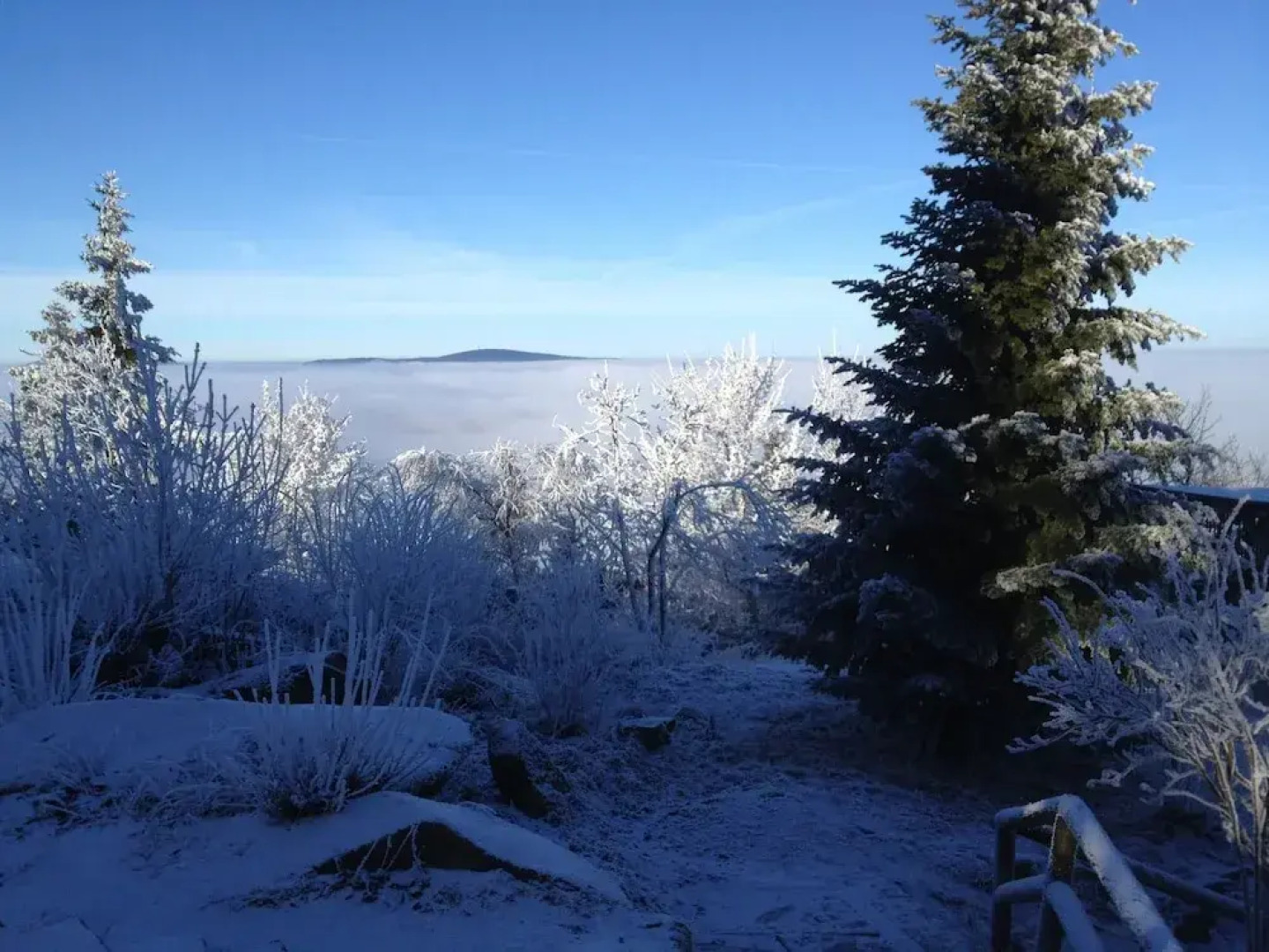 Schmankerl Hotel Bauer