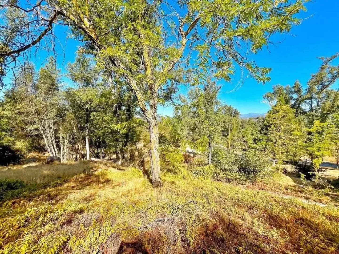 Modern Yosemite Cabin, 15min Bass Lake, Sleeps 8