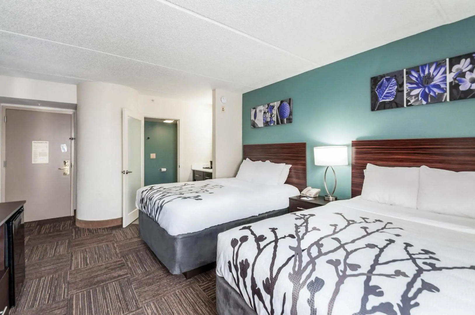 Sleep Inn & Suites Rehoboth Beach