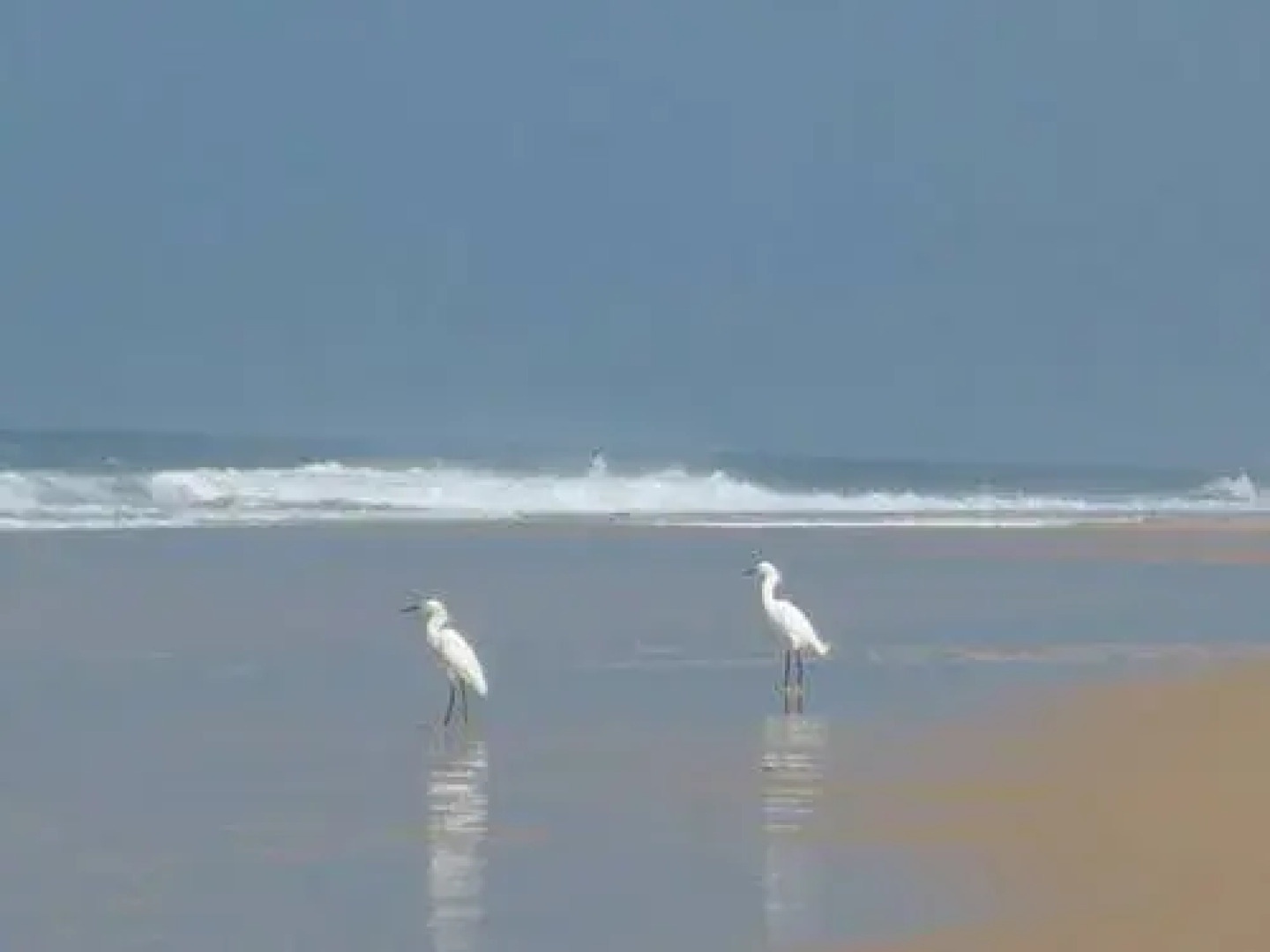 Pousada Cara & Coroa